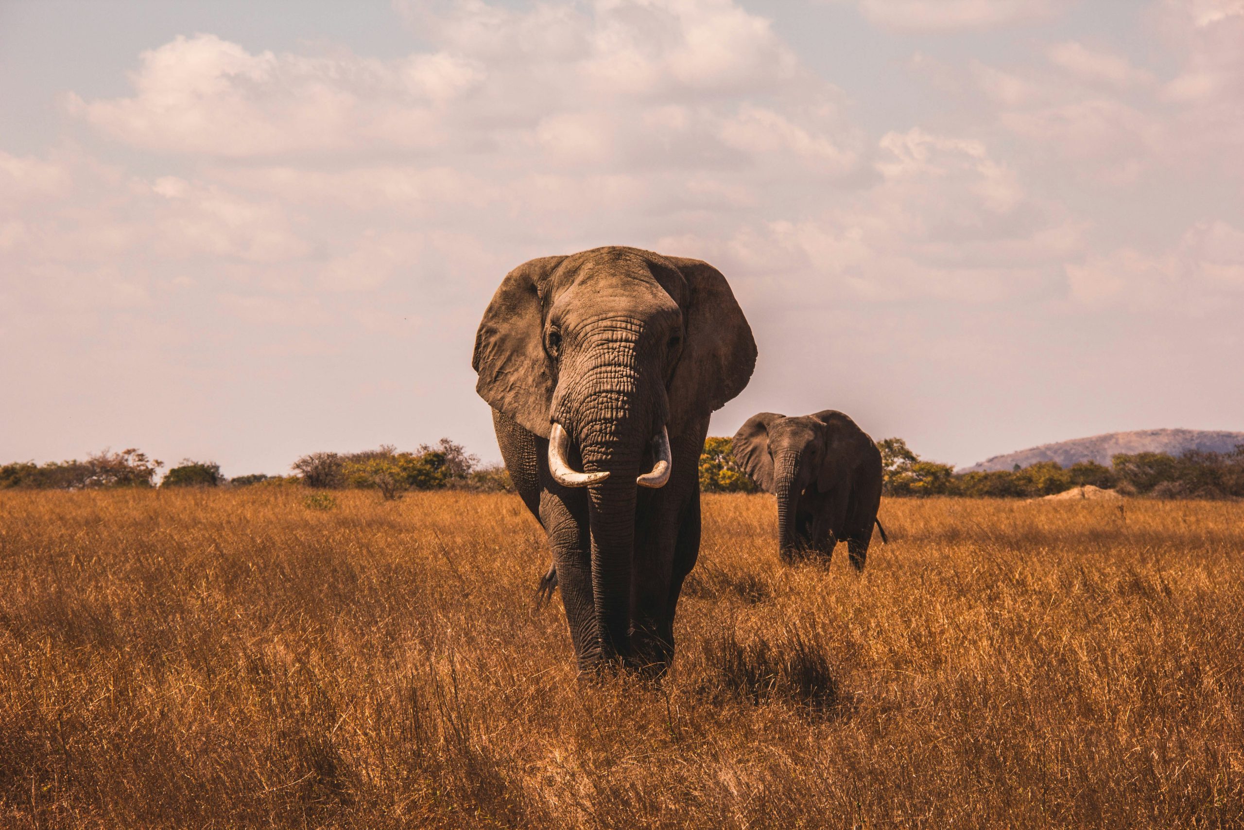 aj robbie buq1rzckyw4 unsplash
